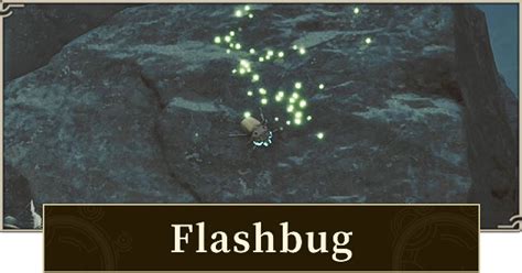 Flashbugs .